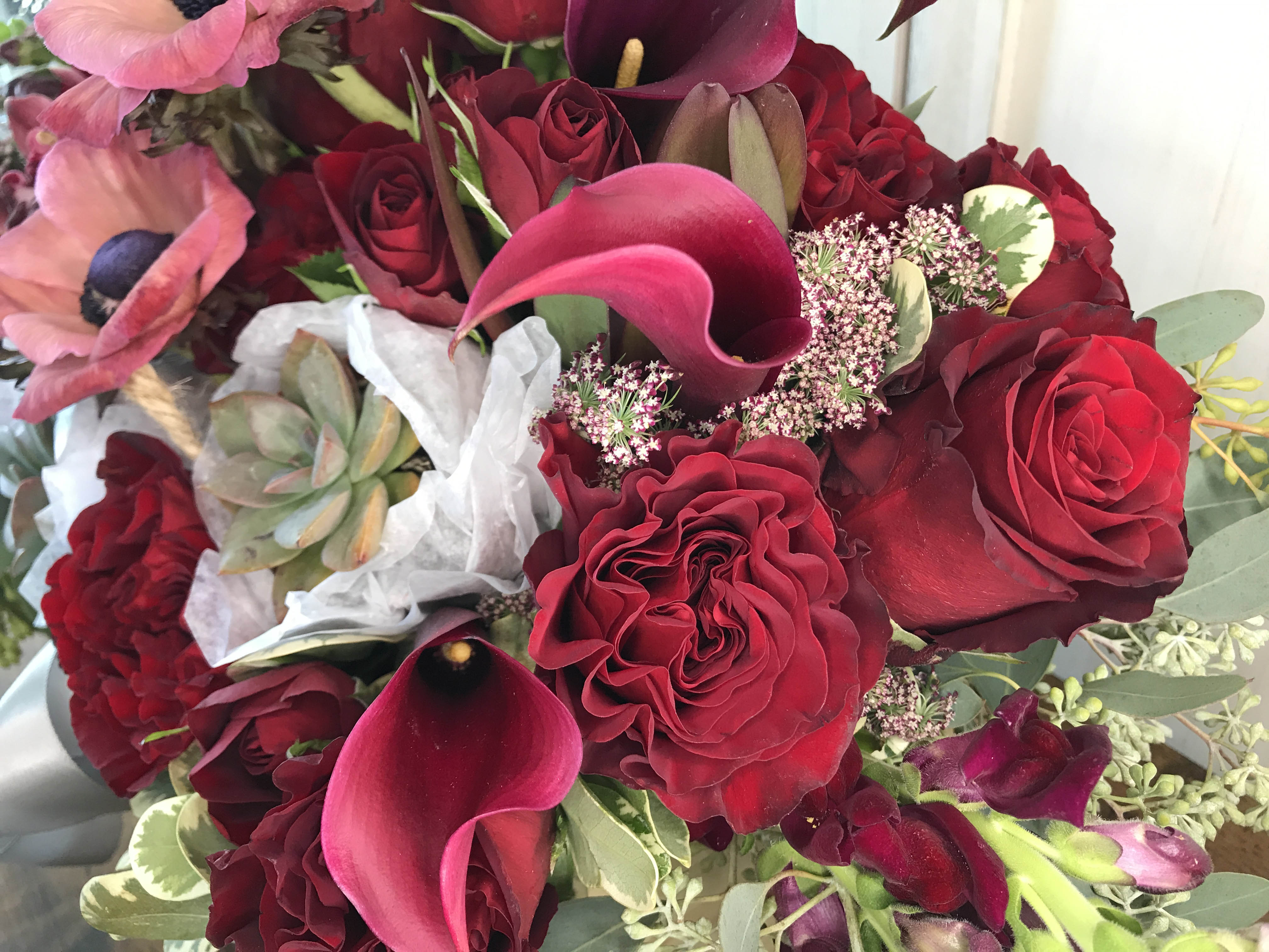 Succulent Arrangement – Lia's Floral Designs